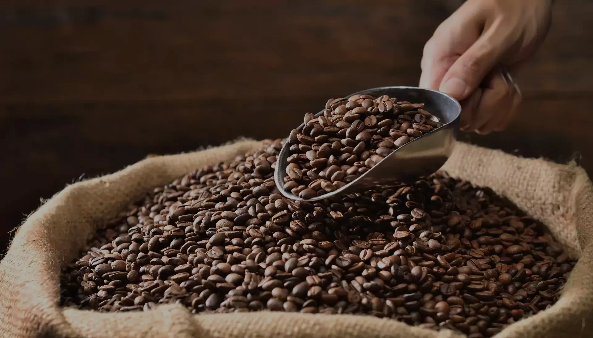 Would you like to buy coffee in bulk?